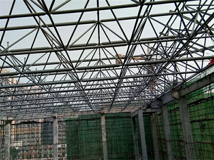 仪征光谷第十一小学网架